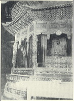 tu_bajiaoshujia_can