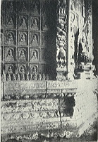 tu_bajiaoshujia_xiayou